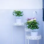 Cruwzo I With Garden Elberfeld Lejlighed *