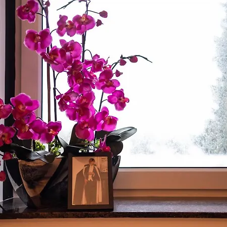 Cruwzo I With Garden Elberfeld *