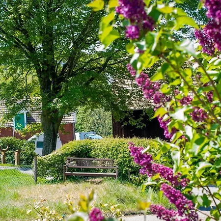 Cruwzo I With Garden Elberfeld