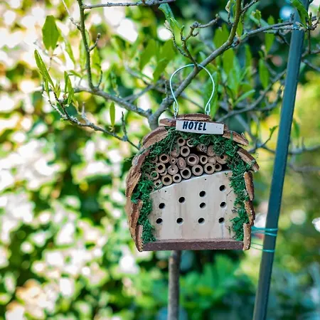 Апартаменты Cruwzo I With Garden Elberfeld Вупперталь