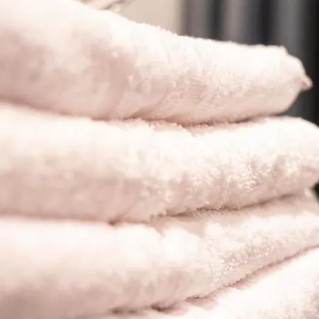 Cruwzo I With Garden Elberfeld *