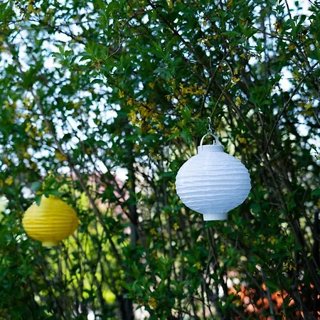 Cruwzo I With Garden Elberfeld *