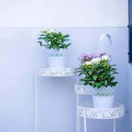 Cruwzo I With Garden Elberfeld Апартаменты *