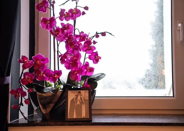 Cruwzo I With Garden Elberfeld *