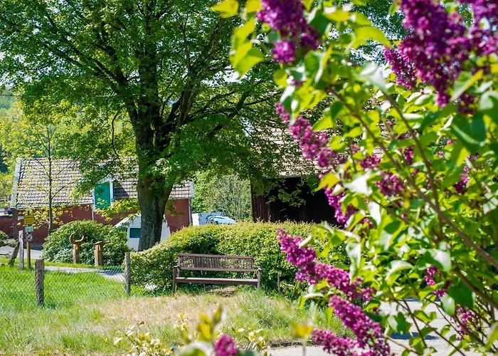 Cruwzo I With Garden Elberfeld