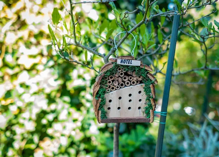 شقة Cruwzo I With Garden Elberfeld وبرتال