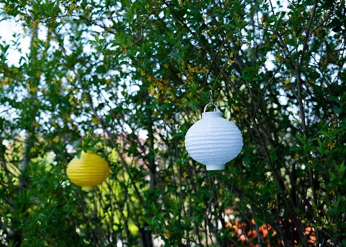 Cruwzo I With Garden Elberfeld *