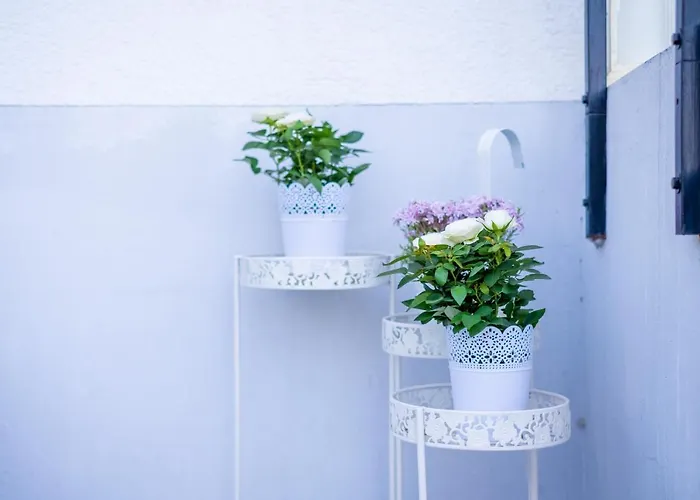 Cruwzo I With Garden Elberfeld Appartement *